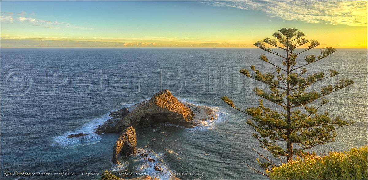 Peter Bellingham Photography Elephant Rock - Norfolk Island - NSW T (PBH4 00 12337)